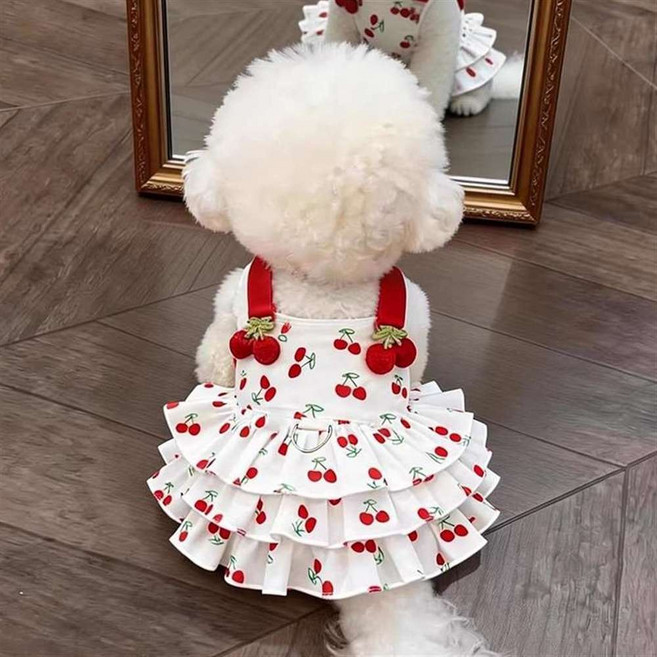 봄 여름 가을 애견 의류 귀여운 하트 프린트 블랙 리본 장식 소형견 중형견 강아지 원피스, 1개, 레드