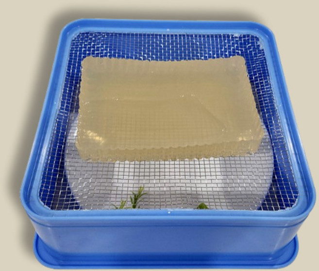 사각 스텐 우뭇가사리 우무가사리 도토리묵 묵 채 칼 채망 3MM 사각우무가사리채 우무가사리채 사각묵채 스텐망 채망바구니 플라스틱채반