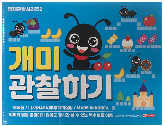 팬시로비 개미관찰하기 먹이 집 곤충관찰
