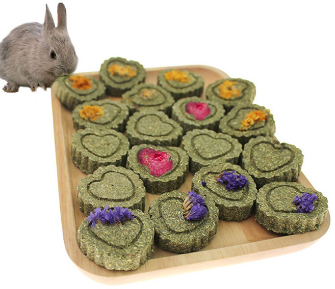 제이펫 수제 이갈이 그라스 케이크 토끼이갈이 친칠라 이갈이 기니피그 이갈이, 물망초 5개입, 1개