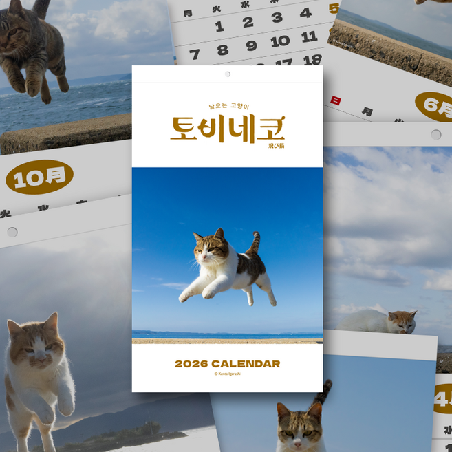 [토비네코 달력] 2026년 달력 고양이 달력, 1개