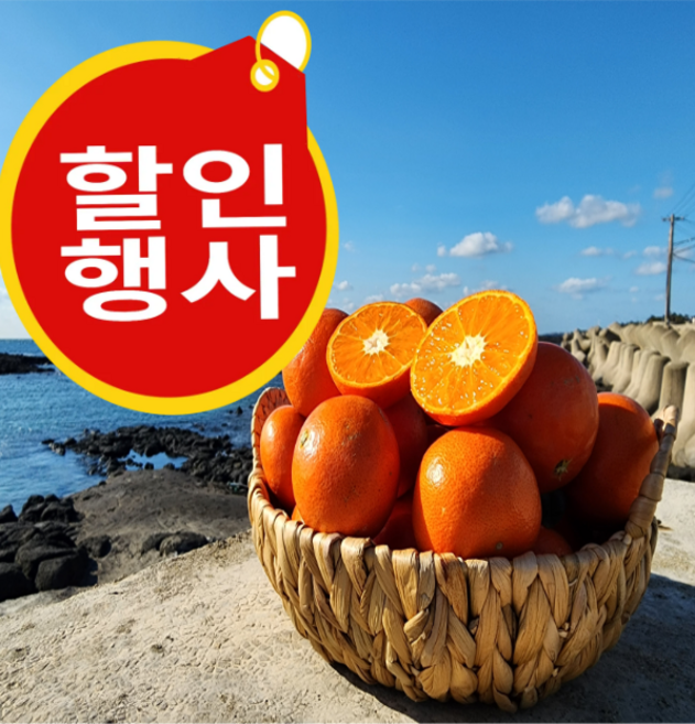 <제주빛가람> 산지직송 제주 천혜향 과즙가득 새콤 달콤 고당도 제주 천혜향, 1박스, 4.5kg 대과