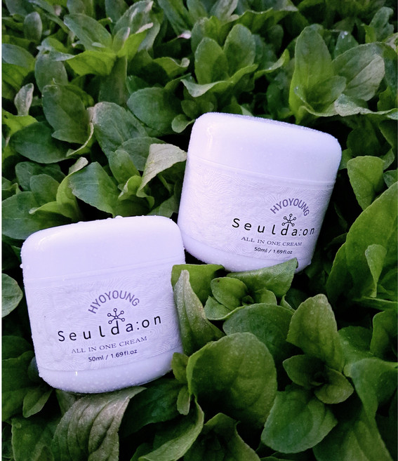 슬다온 올인원 크림2개 세라마이드크림 홍조 진정 보습 리프팅 PDRN EGF, 2개, 50ml