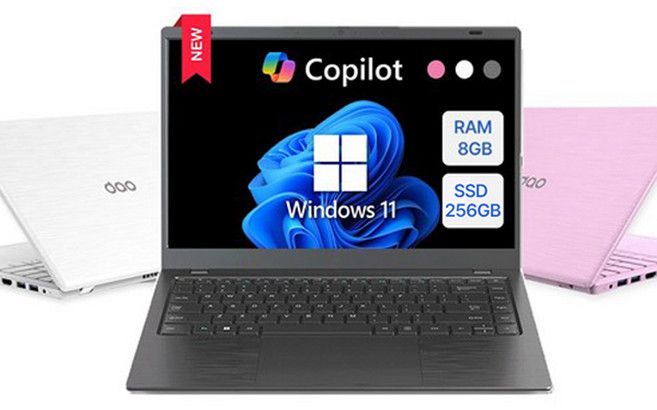 다오북 14인치 1.32kg N100 윈도우11 탑재 컬러 노트북, 다크 그레이, 14-N100BCG, 256GB, 8GB, WIN11 Home