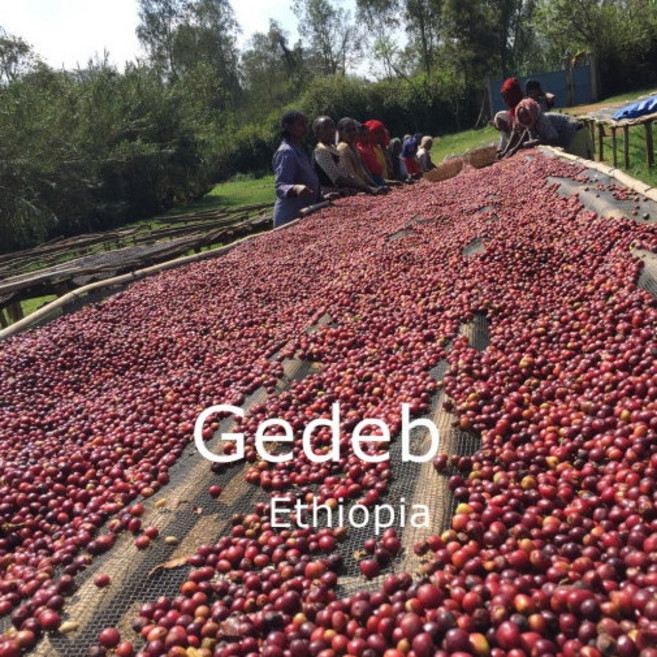 [위트러스트] 에티오피아 함벨라 Ethiopia Hambela 스페셜티 커피, 200g, 모카포트, 1개