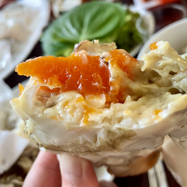 레드이츠 알배기 꽃게 활 암꽃게, 1세트, 1kg (4~6미)