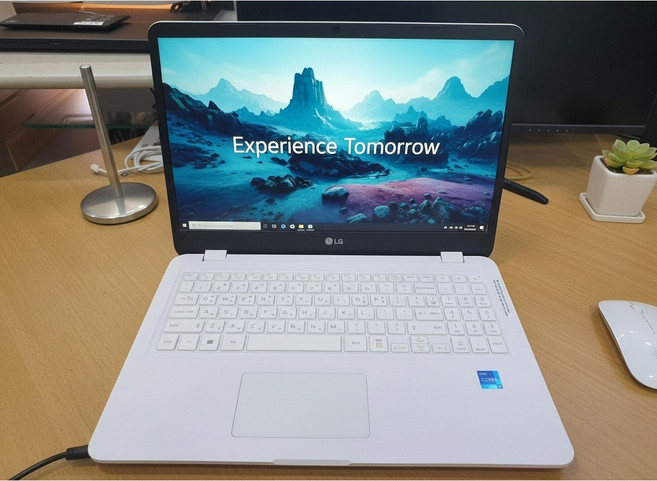 LG 울트라 i5 11세대 15U50P 사무용 WIN11HOME 노트북가방+마우스, 15U50P-GR5SK, 윈도우 11 홈, 8GB, 256GB, 화이트