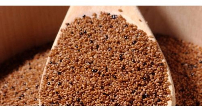 테프 곡물 - 11lb(4.99kg) TEFF GRAIN- 11lb, 1개, 4.99kg