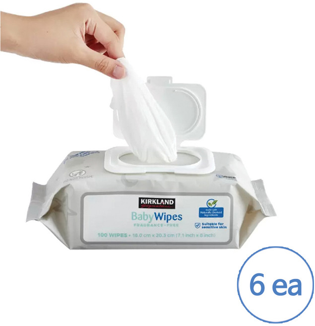 커클랜드 시그니춰 유아용 물티슈 9팩, 6개, 100매