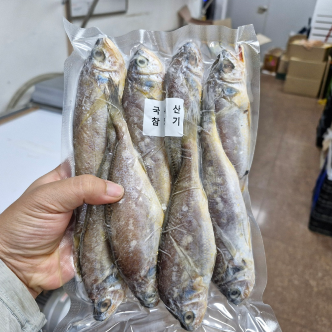 방금 조업한 여수 국내산 참조기 조기, 1박스, 550g 8-10미 (17-20cm)