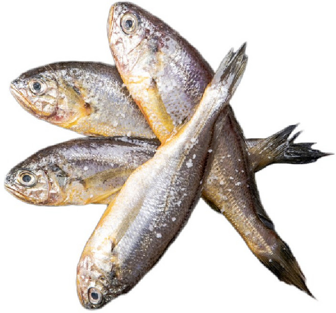 국산 참조기 반찬용 1팩당 5~6마리 진공포장, 1개, 400g(1팩당 5~6마리)