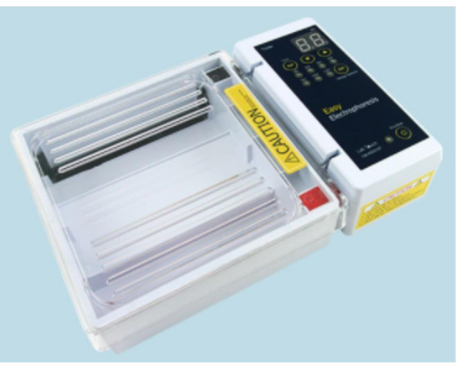 학교 과학 실험 수업교구 일체형 DNA 전기영동장치 풀세트 교육기관 과학교실, 1개, 상세페이지참조