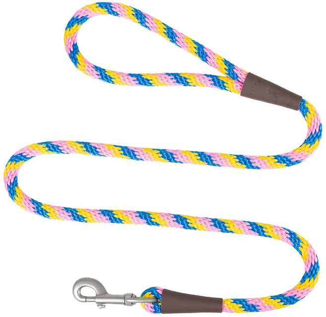 Mendota Pet 슬립 목줄 1cm3 x 리드 in 제조 콤보 1/2 1.2m4피트 ft 강아지 칼라 화이트 6 소형 품종용 8인치 중형, 비치볼, 1.27cm 1.8m