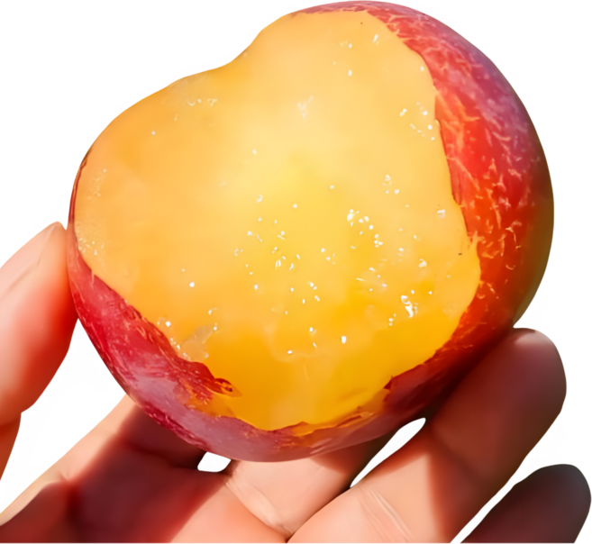 [Brix14이상] 달콤한 과즙 후무사자두 경북에서 온 여름 과일, 1박스, 2kg (대과)