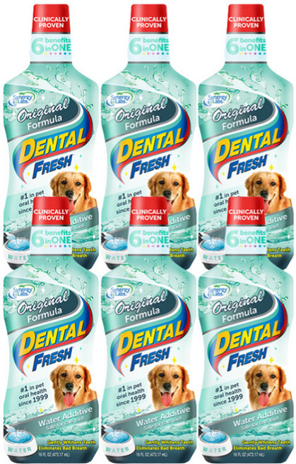 시너지랩 독 덴탈 후레쉬 503ml(물에 섞어주는 치약), 503ml, 6개, 오리지널