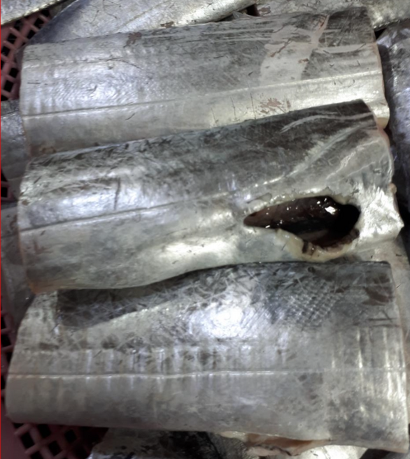 손질갈치 대갈치 3지갈치 1마리 특대갈치 토막갈치 먹갈치 목포먹갈치 생갈치, 먹갈치토막(대갈치) 3지갈치-500g내외, 1개