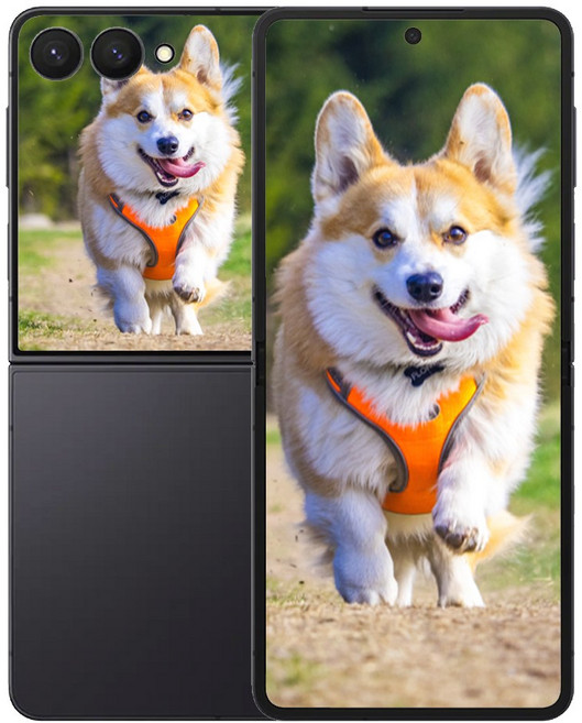 삼성전자 갤럭시 Z 플립7, 256GB, JetBlack (제트블랙)