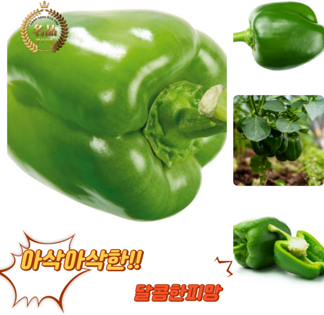 굿피플 못난이청피망 피망 파프리카 청피망, 1박스, 청피망 3kg [못난이]
