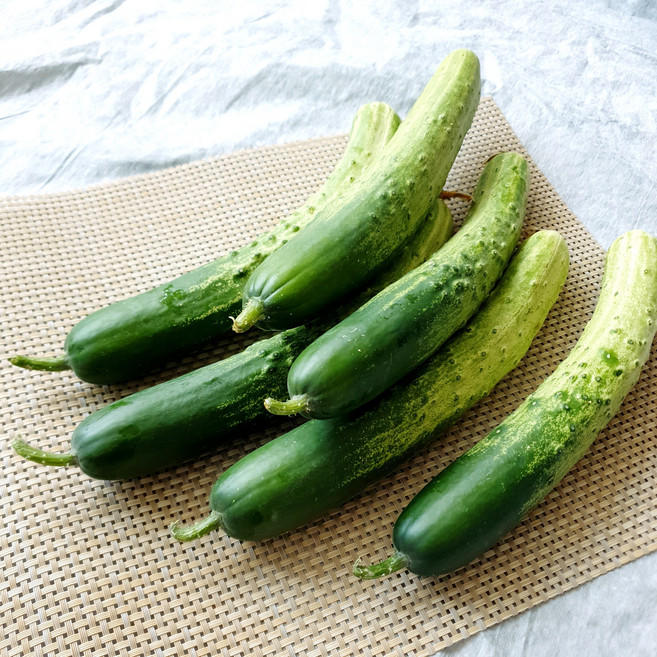 정든농산 백다다기 못난이 오이 피클용 오이지용 상주 조선오이, 20개 내외, 특등급, 1박스, 4-5kg