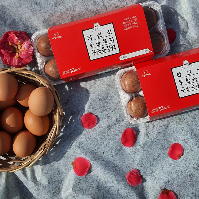 [100% 파손보상] 난각 2번 제주 화산석 동물복지 구운 유정란 구운계란 훈제란, 2개, 10구