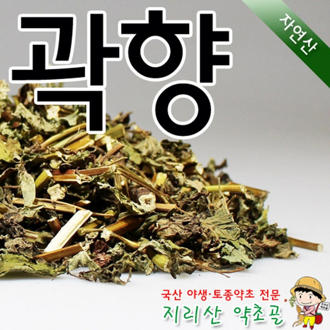 100%국내산 자연산 곽향 300g 배초향 차 효능 효과 말린 건조 야생, 1개