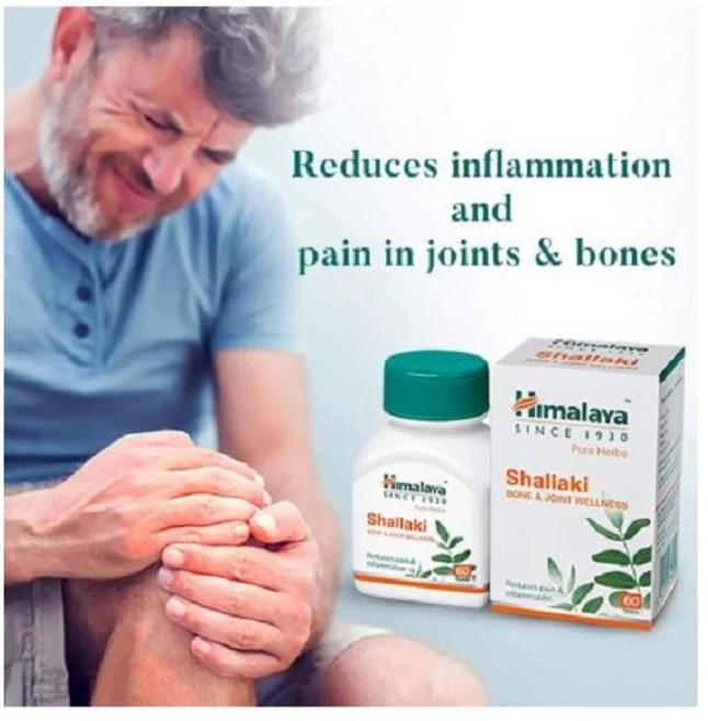 Himalaya Wellness Pure Herbs Shallaki, 60정, 1세트 - 쿠팡