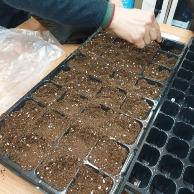 (1+1+1)3개세트 모종 모판 트레이 포트 32구, 3개