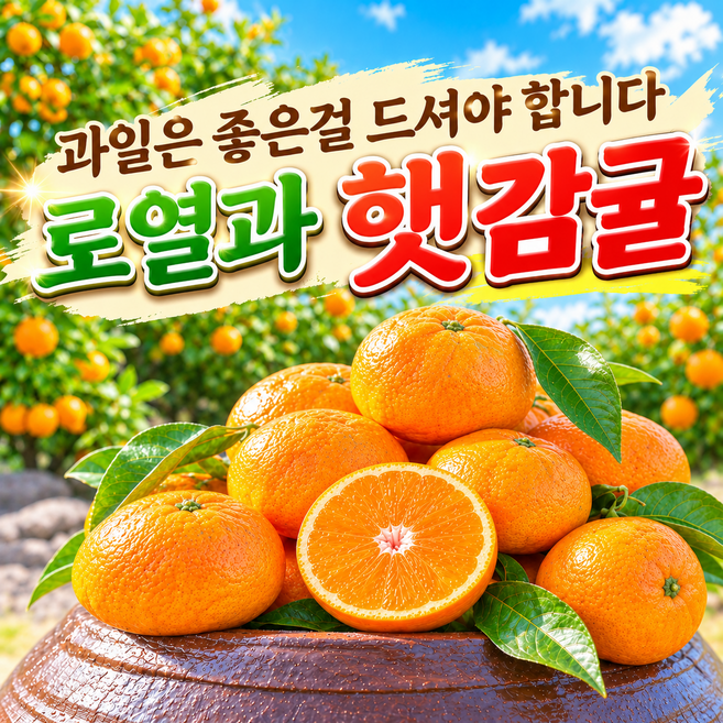 [품질보장] 제주 산지직송 초고당도 감귤 귤, 1박스, 3kg 로얄과
