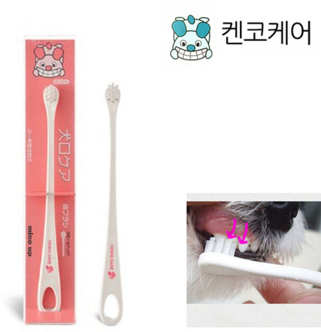 일본 마인드업 켄코케어 스몰헤드 강아지 칫솔 소형견 중형견용, 강아지용, 1개
