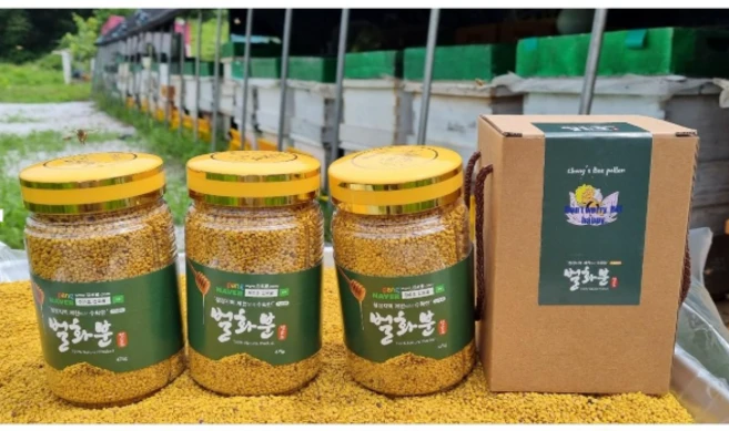 건강한 오리지널 벌꿀 정순조 감로꿀 벌화분550g 유리병 나무수저 증정, 500g, 1개 - 쿠팡