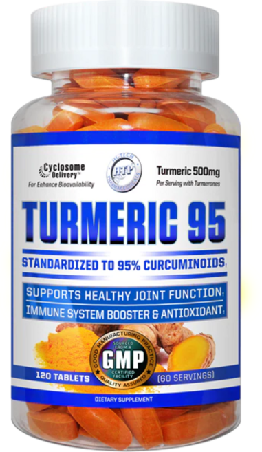 TURMERIC 95 강황 커큐민 항산화 염증 감소 항염 영양제, 1개, 120정