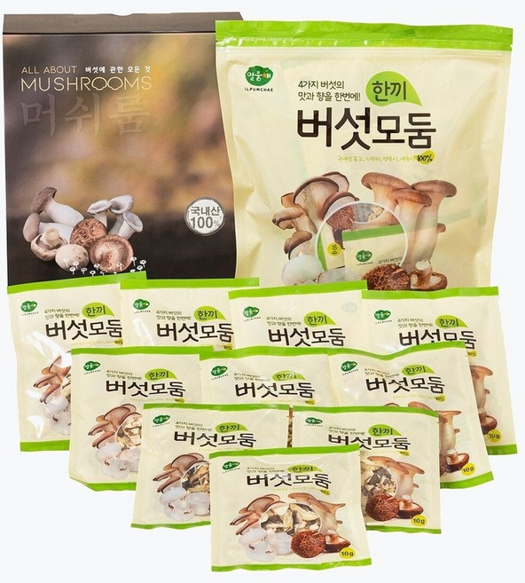 담아두다 일품채 모둠 한끼 버섯 10g x 10, 10개, 100g