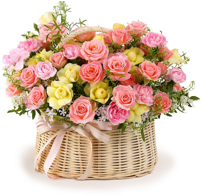 119플라워 (당일배송) 꿈꾸는사랑 ST-A1878 꽃바구니 장미 당일꽃배달 전국꽃배달 생일 기념일 꽃선물 생화 꽃배달, 1개, 혼합