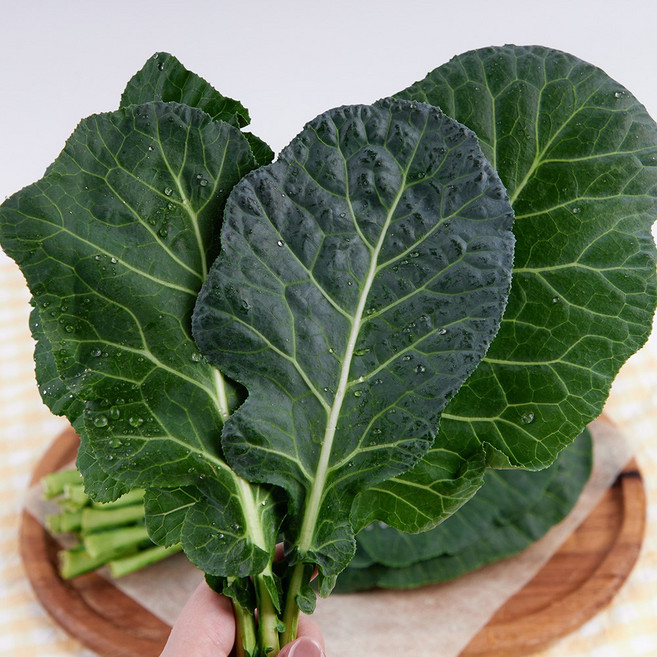 당일수확 신선한 쌈채소 케일 1kg, 1박스