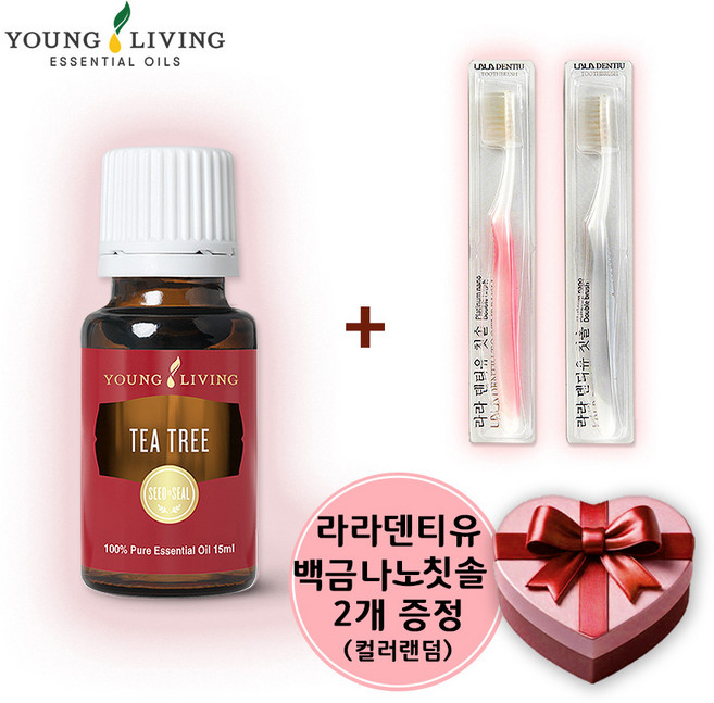 영리빙 티트리 에센셜 오일 천연향료 15ml + 라라 덴티유 칫솔 2개, 1