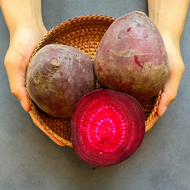 제주 우수농산물 GAP 인증 햇 레드비트 비트 중소사이즈, 1개, 10kg