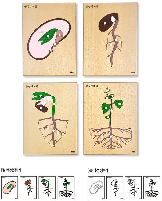 [하나몬테소리] 콩성장퍼즐 4종 / 원목퍼즐 / 문화영역, 1개