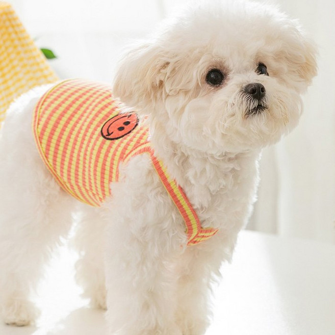 [퐁펫] 스마일패치라인 나시 (Pet732)_(강아지옷 고양이옷 반려동물 애견 애묘 뚱냥이 코스튬 봄 여름 가을), 오렌지, 1개