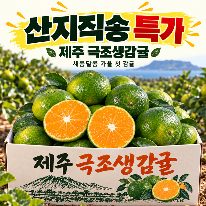 산지직송 고당도 제주 감귤, 1박스, 3kg(로얄과)