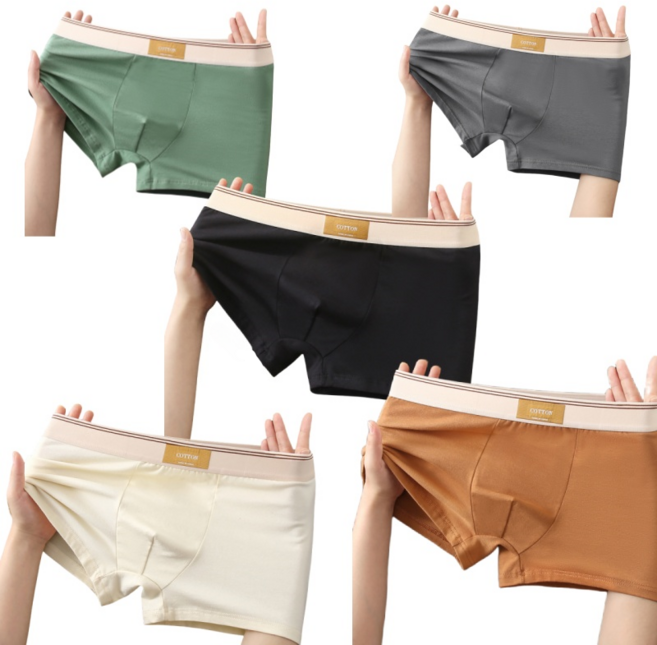 Tavoe[항균] 남성 순면 사각팬티 5매 세트 쾌적하고 위생적인 T258-004