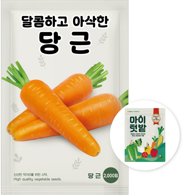 NH농우바이오 달콤하고 아삭한 당근 씨앗 종자 2000립, 1개