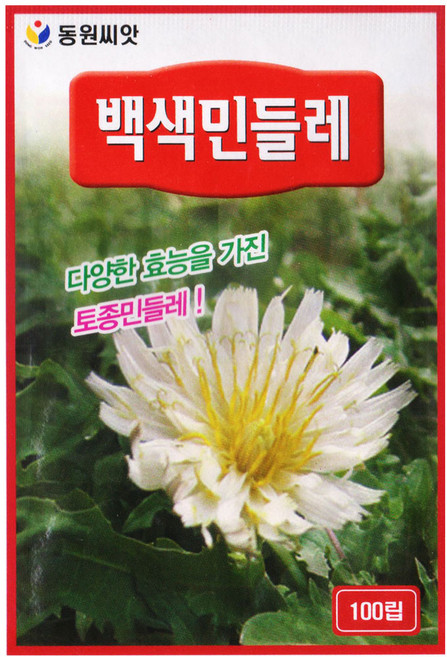 백색 민들레 씨앗 100립 흰민들레씨, 3개