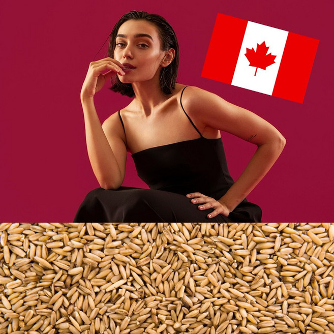 농산물 우수관리 인증 청정지역 캐나다산 귀리 귀리쌀 통귀리 100%, 1개, 10kg