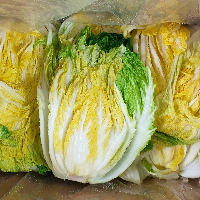 국산 절임배추 20KG 절인 배추 택배 김장배추, 1개, 10kg