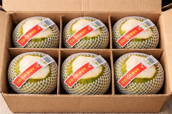 베트남 신선 코코넛 6과 12과 / /, 1박스, 6