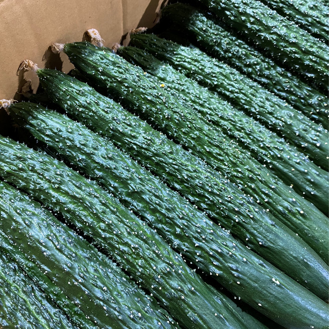 국내산 오이 가시오이 특품, 5kg, 1개