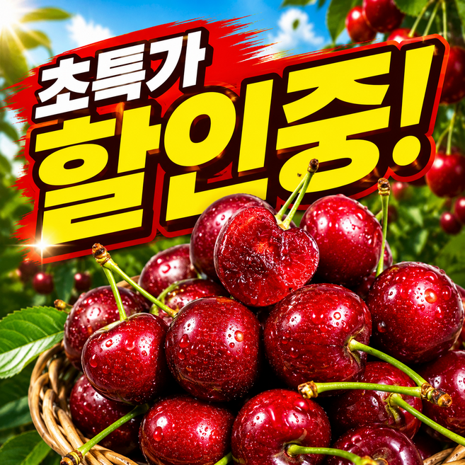 [하루딱50명한정판매] 항공직송 프리미엄 초고당도 생체리, 1세트, 500g(대)