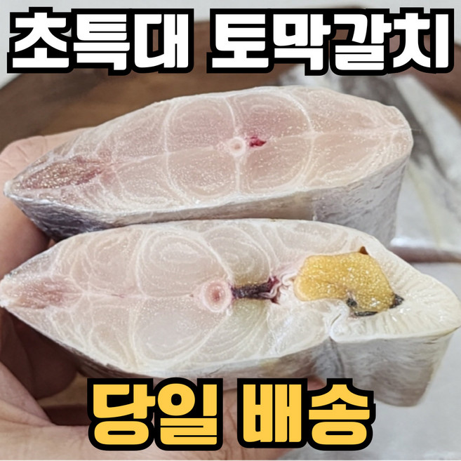 [초초특가] 손질 갈치 특대 특품, 1개, 500g