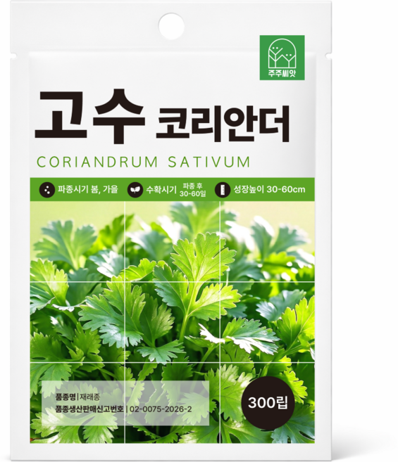 [주주씨앗] 고수 씨앗 300립 인기허브 코리안더 향채 종자 허브 키우기 씨앗몰, 1개