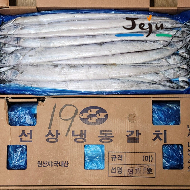 정품정량 제주 은갈치 선동갈치 10kg 1박스 통갈치 냉동갈치 갈치네이션 제주한림수산, 소사이즈(70마리/10kg)한박스), 1개
